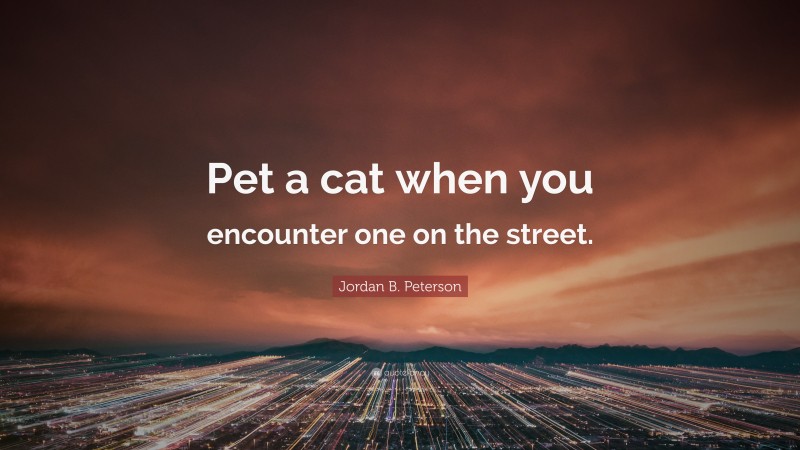 Jordan B. Peterson Quote: “Pet a cat when you encounter one on the street.”