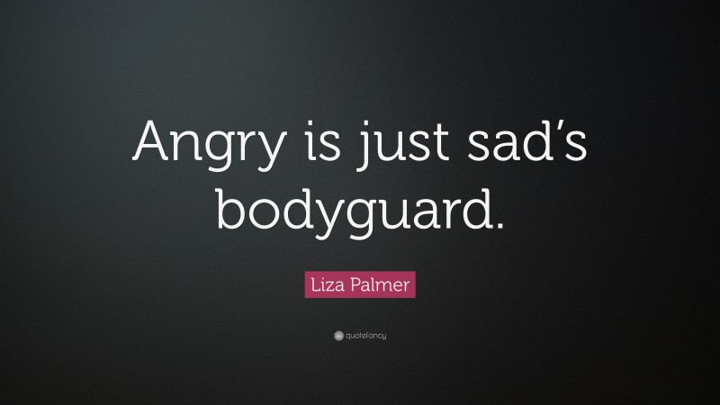Liza Palmer Quote: “Angry is just sad’s bodyguard.”