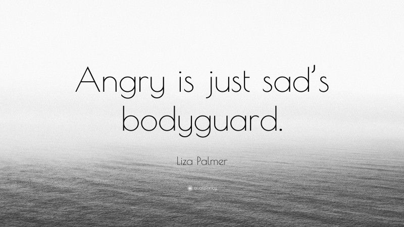 Liza Palmer Quote: “Angry is just sad’s bodyguard.”