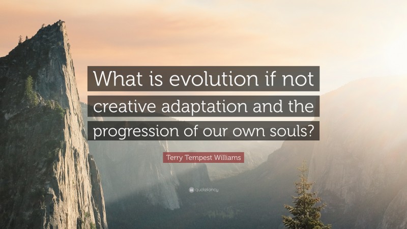 Terry Tempest Williams Quote: “What is evolution if not creative adaptation and the progression of our own souls?”