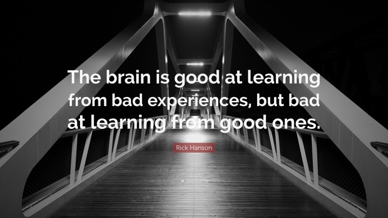 Rick Hanson Quote: “The brain is good at learning from bad experiences, but bad at learning from good ones.”
