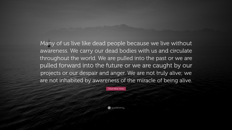 Thich Nhat Hanh Quote: “Many of us live like dead people because we live without awareness. We carry our dead bodies with us and circulate throughout the world. We are pulled into the past or we are pulled forward into the future or we are caught by our projects or our despair and anger. We are not truly alive; we are not inhabited by awareness of the miracle of being alive.”