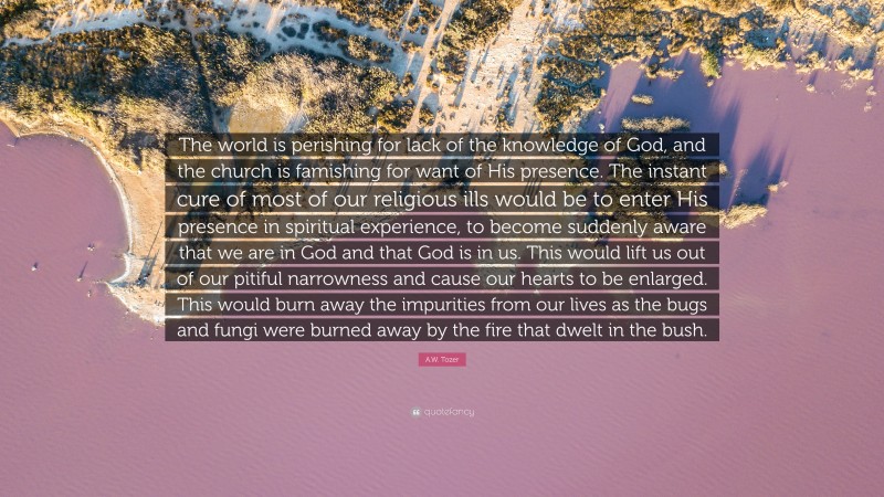A.W. Tozer Quote: “The world is perishing for lack of the knowledge of God, and the church is famishing for want of His presence. The instant cure of most of our religious ills would be to enter His presence in spiritual experience, to become suddenly aware that we are in God and that God is in us. This would lift us out of our pitiful narrowness and cause our hearts to be enlarged. This would burn away the impurities from our lives as the bugs and fungi were burned away by the fire that dwelt in the bush.”