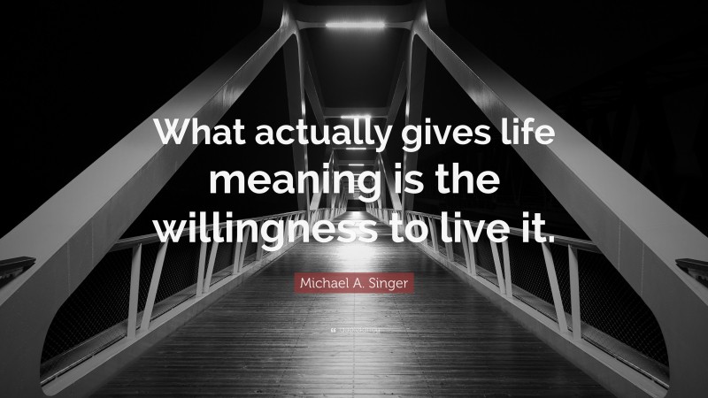 Michael A. Singer Quote: “What actually gives life meaning is the willingness to live it.”