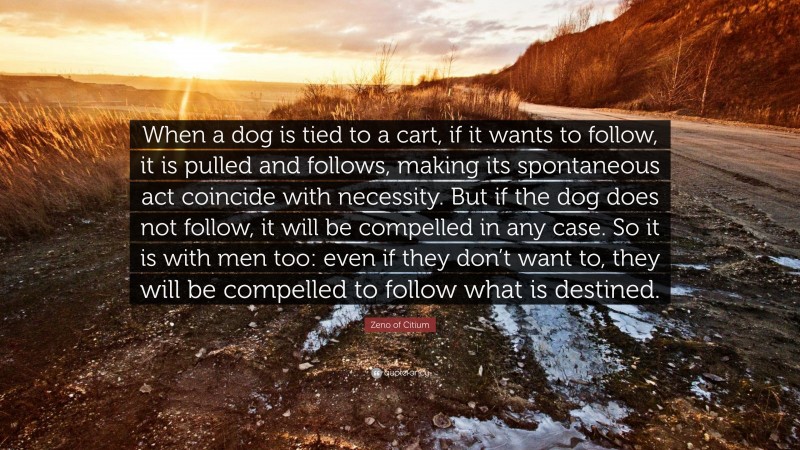 Zeno of Citium Quote: “When a dog is tied to a cart, if it wants to follow, it is pulled and follows, making its spontaneous act coincide with necessity. But if the dog does not follow, it will be compelled in any case. So it is with men too: even if they don’t want to, they will be compelled to follow what is destined.”