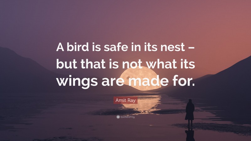 Amit Ray Quote: “A bird is safe in its nest – but that is not what its wings are made for.”