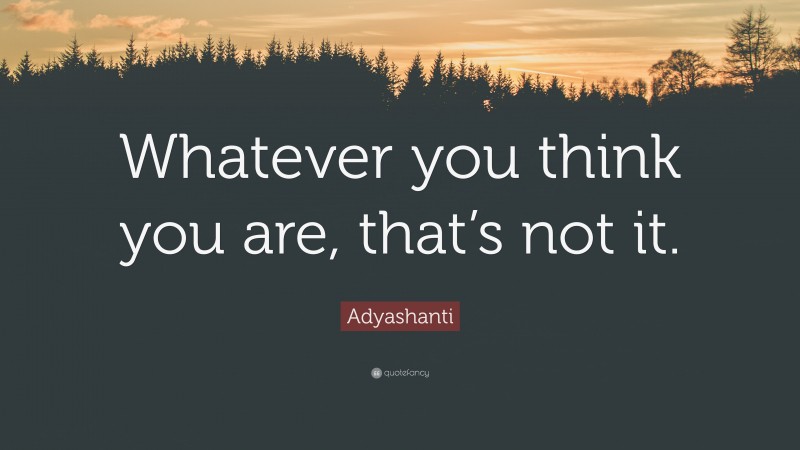 Adyashanti Quote: “Whatever you think you are, that’s not it.”