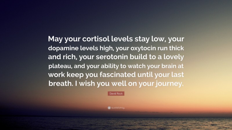 David Rock Quote: “May your cortisol levels stay low, your dopamine levels high, your oxytocin run thick and rich, your serotonin build to a lovely plateau, and your ability to watch your brain at work keep you fascinated until your last breath. I wish you well on your journey.”