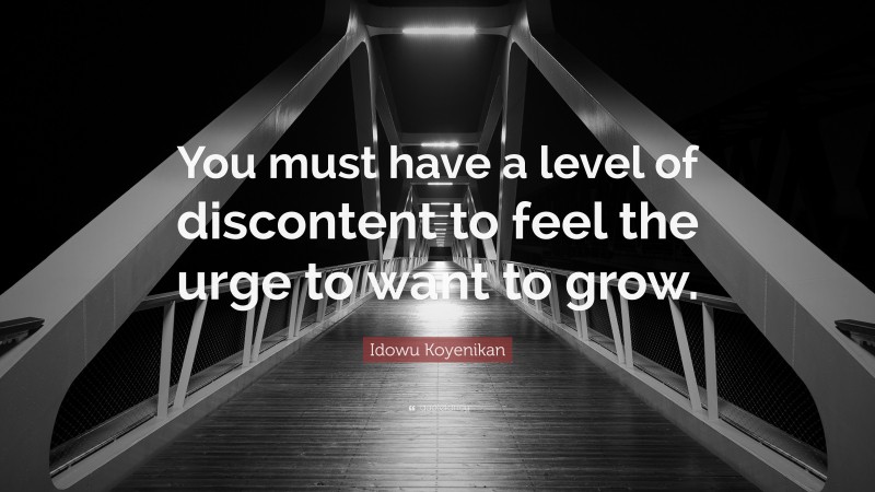 Idowu Koyenikan Quote: “You must have a level of discontent to feel the urge to want to grow.”