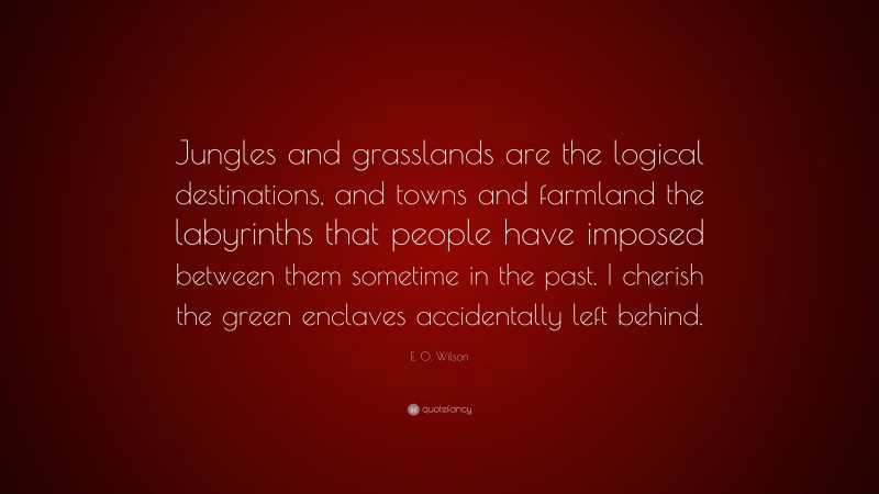 E. O. Wilson Quote: “Jungles and grasslands are the logical destinations, and towns and farmland the labyrinths that people have imposed between them sometime in the past. I cherish the green enclaves accidentally left behind.”