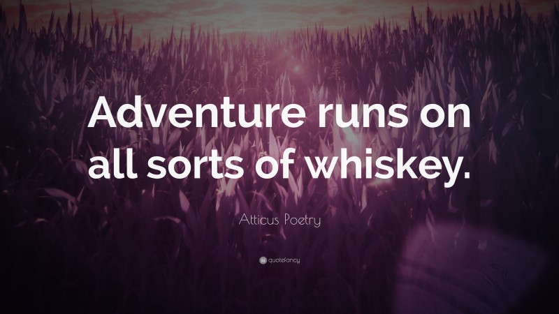 Atticus Poetry Quote: “Adventure runs on all sorts of whiskey.”