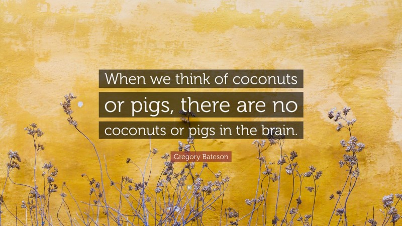 Gregory Bateson Quote: “When we think of coconuts or pigs, there are no coconuts or pigs in the brain.”