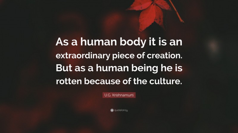 U.G. Krishnamurti Quote: “As a human body it is an extraordinary piece of creation. But as a human being he is rotten because of the culture.”