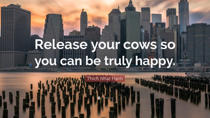 Thich Nhat Hanh Quote: “Release your cows so you can be truly happy.”