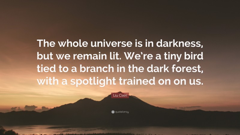 Liu Cixin Quote: “The whole universe is in darkness, but we remain lit. We’re a tiny bird tied to a branch in the dark forest, with a spotlight trained on on us.”