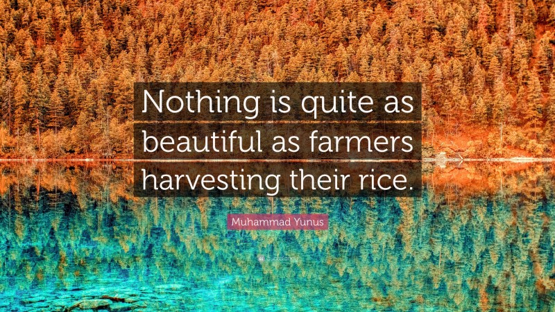 Muhammad Yunus Quote: “Nothing is quite as beautiful as farmers harvesting their rice.”