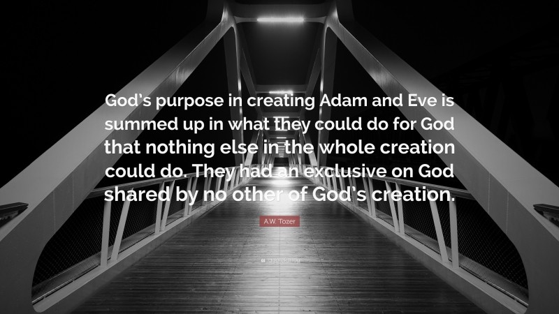 A.W. Tozer Quote: “God’s purpose in creating Adam and Eve is summed up in what they could do for God that nothing else in the whole creation could do. They had an exclusive on God shared by no other of God’s creation.”