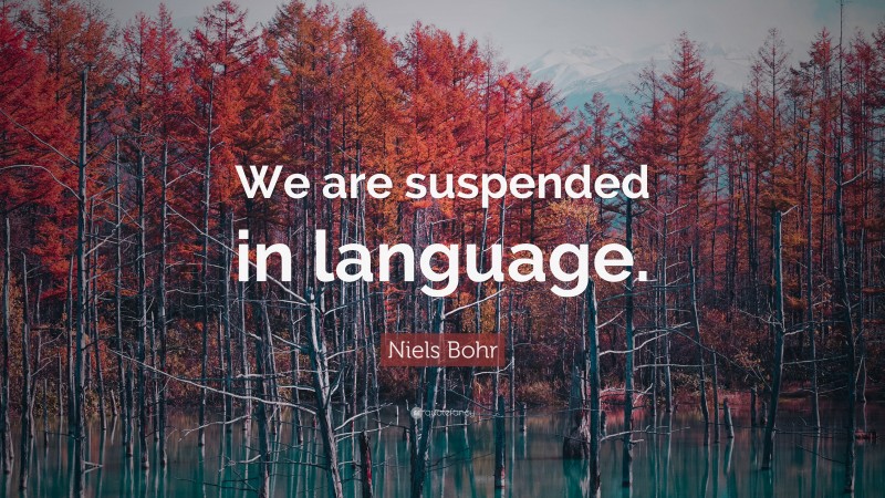 Niels Bohr Quote: “We are suspended in language.”