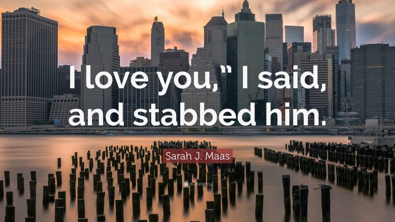 Sarah J. Maas Quote: “I love you,” I said, and stabbed him.”