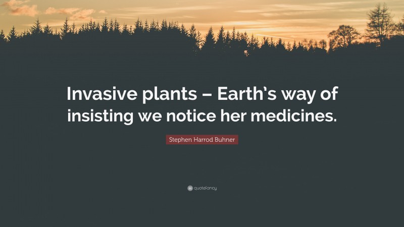 Stephen Harrod Buhner Quote: “Invasive plants – Earth’s way of insisting we notice her medicines.”