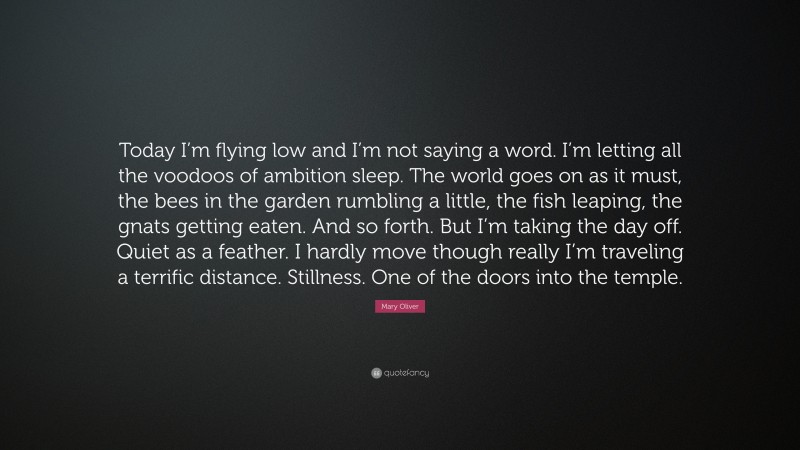 Mary Oliver Quote: “Today I’m flying low and I’m not saying a word. I’m letting all the voodoos of ambition sleep. The world goes on as it must, the bees in the garden rumbling a little, the fish leaping, the gnats getting eaten. And so forth. But I’m taking the day off. Quiet as a feather. I hardly move though really I’m traveling a terrific distance. Stillness. One of the doors into the temple.”