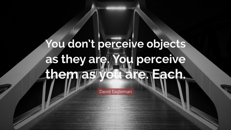 David Eagleman Quote: “You don’t perceive objects as they are. You perceive them as you are. Each.”