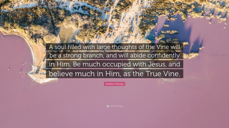Andrew Murray Quote: “A soul filled with large thoughts of the Vine will be a strong branch, and will abide confidently in Him. Be much occupied with Jesus, and believe much in Him, as the True Vine.”