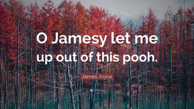James Joyce Quote: “O Jamesy let me up out of this pooh.”