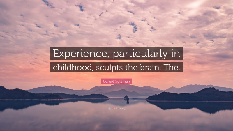 Daniel Goleman Quote: “Experience, particularly in childhood, sculpts the brain. The.”
