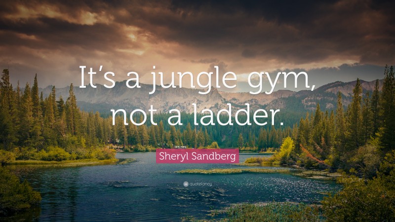 Sheryl Sandberg Quote: “It’s a jungle gym, not a ladder.”