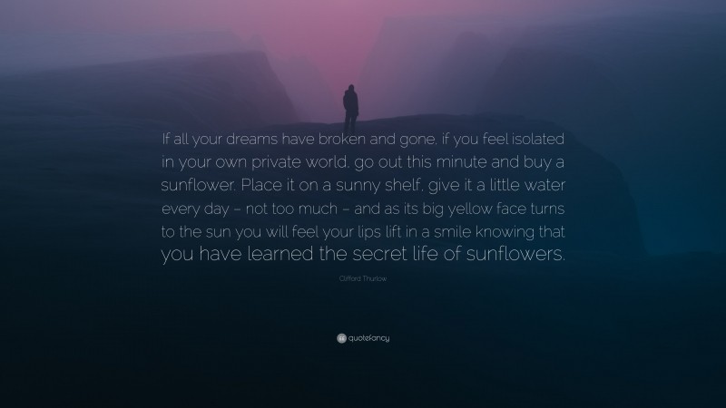 Clifford Thurlow Quote: “If all your dreams have broken and gone, if you feel isolated in your own private world, go out this minute and buy a sunflower. Place it on a sunny shelf, give it a little water every day – not too much – and as its big yellow face turns to the sun you will feel your lips lift in a smile knowing that you have learned the secret life of sunflowers.”