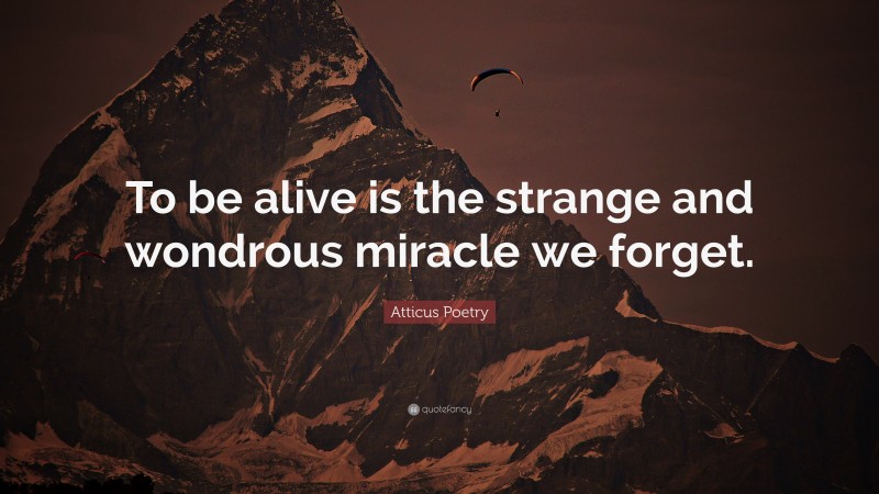 Atticus Poetry Quote: “To be alive is the strange and wondrous miracle we forget.”