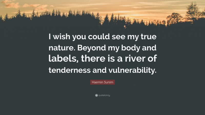 Haemin Sunim Quote: “I wish you could see my true nature. Beyond my body and labels, there is a river of tenderness and vulnerability.”