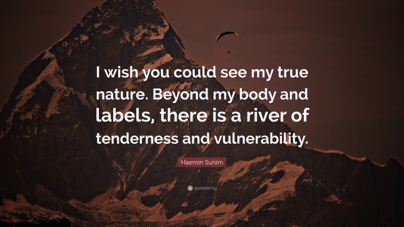 Haemin Sunim Quote: “I wish you could see my true nature. Beyond my body and labels, there is a river of tenderness and vulnerability.”