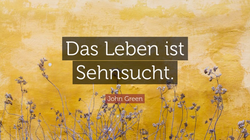 John Green Quote: “Das Leben ist Sehnsucht.”