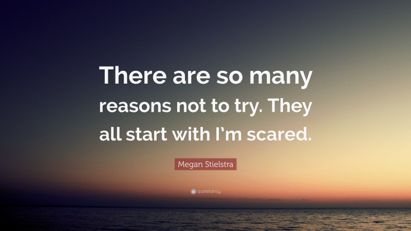 Megan Stielstra Quote: “There are so many reasons not to try. They all start with I’m scared.”