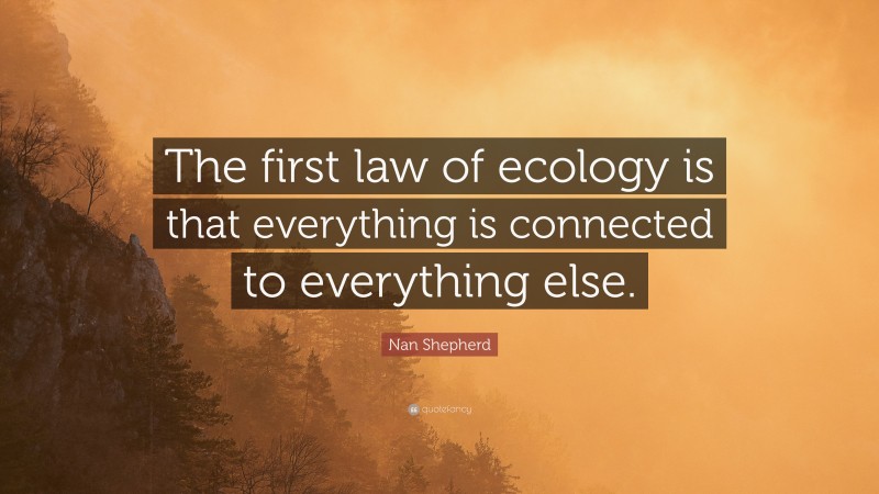 Nan Shepherd Quote: “The first law of ecology is that everything is connected to everything else.”