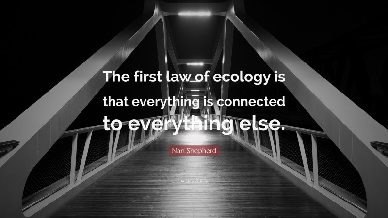 Nan Shepherd Quote: “The first law of ecology is that everything is connected to everything else.”