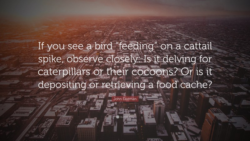 John Eastman Quote: “If you see a bird “feeding” on a cattail spike, observe closely: Is it delving for caterpillars or their cocoons? Or is it depositing or retrieving a food cache?”