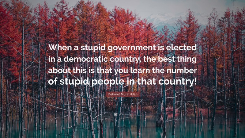 Mehmet Murat ildan Quote: “When a stupid government is elected in a democratic country, the best thing about this is that you learn the number of stupid people in that country!”