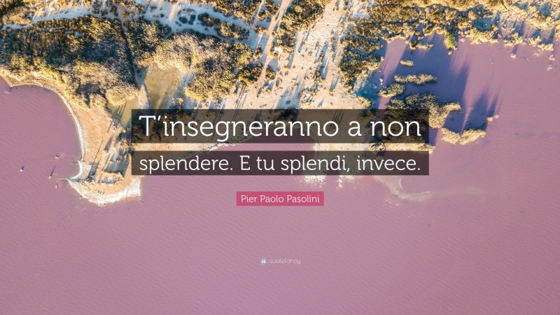 Pier Paolo Pasolini Quote: “T’insegneranno a non splendere. E tu splendi, invece.”