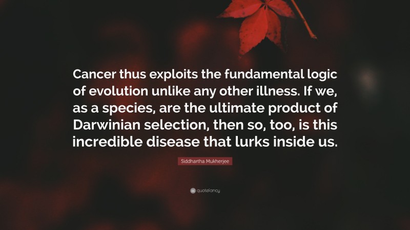 Siddhartha Mukherjee Quote: “Cancer thus exploits the fundamental logic of evolution unlike any other illness. If we, as a species, are the ultimate product of Darwinian selection, then so, too, is this incredible disease that lurks inside us.”