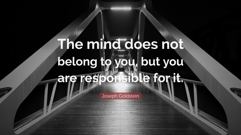 Joseph Goldstein Quote: “The mind does not belong to you, but you are responsible for it.”
