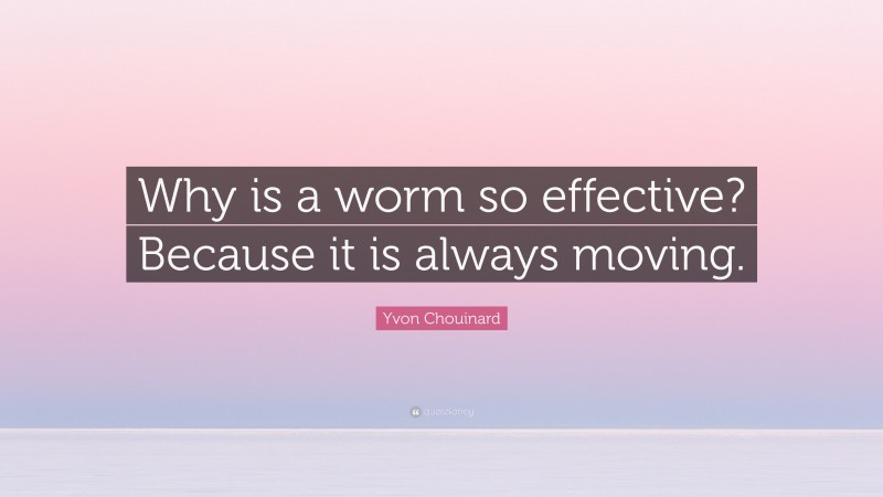 Yvon Chouinard Quote: “Why is a worm so effective? Because it is always moving.”