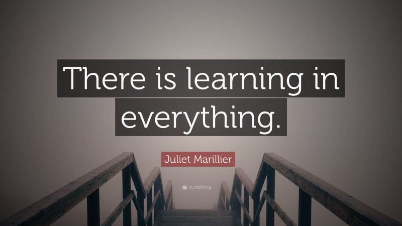 Juliet Marillier Quote: “There is learning in everything.”