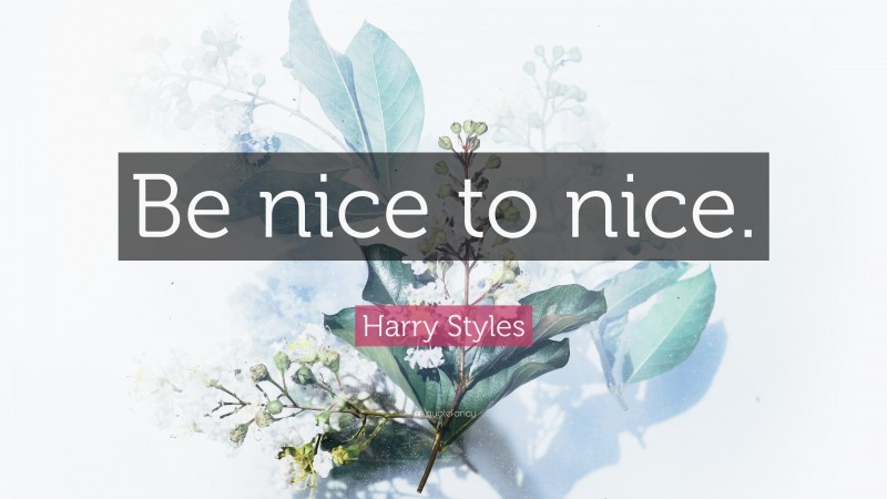 Harry Styles Quote: “Be nice to nice.”
