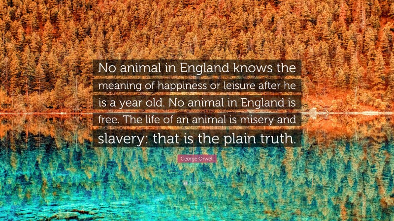 George Orwell Quote: “No animal in England knows the meaning of happiness or leisure after he is a year old. No animal in England is free. The life of an animal is misery and slavery: that is the plain truth.”