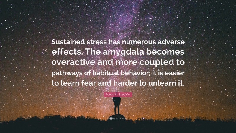 Robert M. Sapolsky Quote: “Sustained stress has numerous adverse effects. The amygdala becomes overactive and more coupled to pathways of habitual behavior; it is easier to learn fear and harder to unlearn it.”