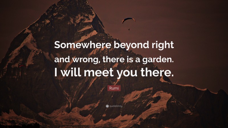 Rumi Quote: “Somewhere beyond right and wrong, there is a garden. I will meet you there.”