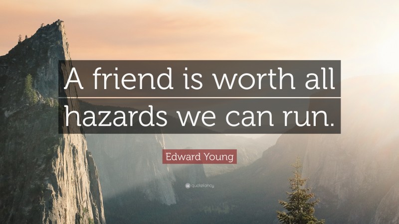 Edward Young Quote: “A friend is worth all hazards we can run.”